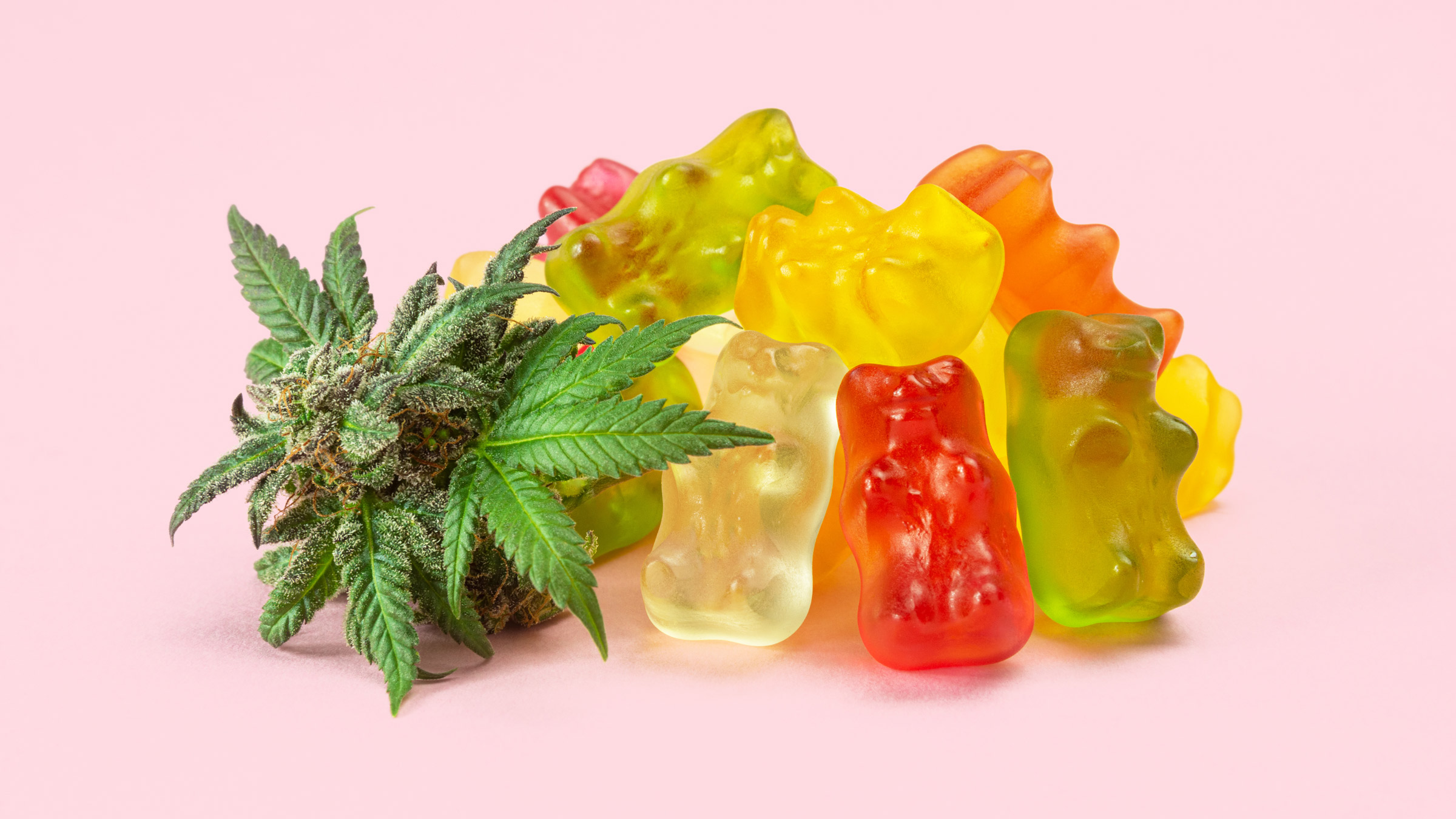 Are High-Potency Delta 8 Gummies as Strong as THC? 1 4