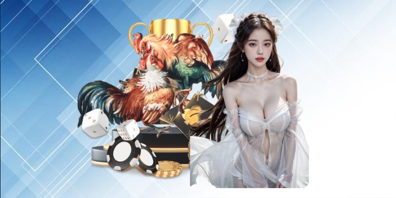 TD88 Cockfighting - Experience the Ultimate Cockfighting, Transparent Betting Every Day 3 5 2