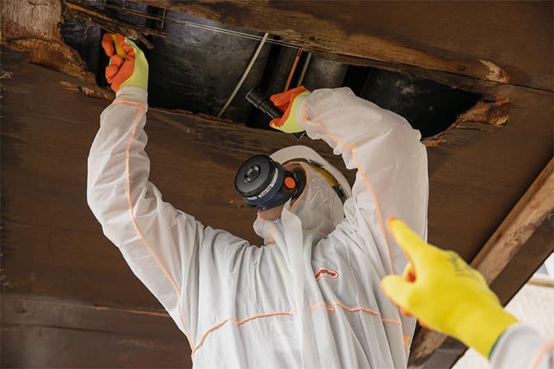 How Professional Asbestos Surveys Provide Accurate Reports for Property Safety 1 asbestos surveyor 3E9A3511
