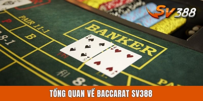 Beginner’s Guide to Playing Baccarat at SV388 Online 2 4 1