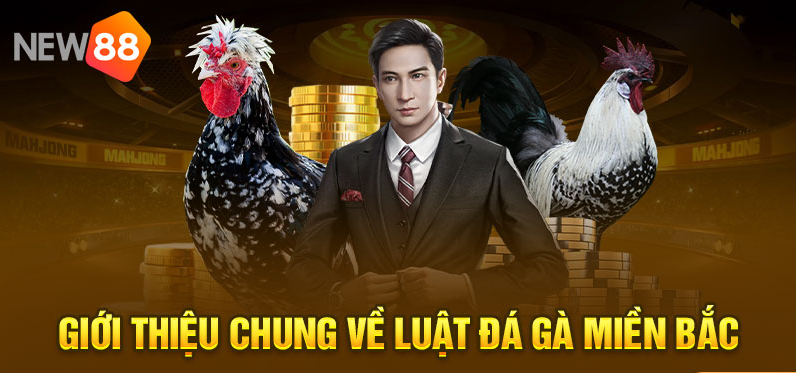 New88 official cockfighting platform: guide for new users to quickly watch matches without lag. 1 1 3