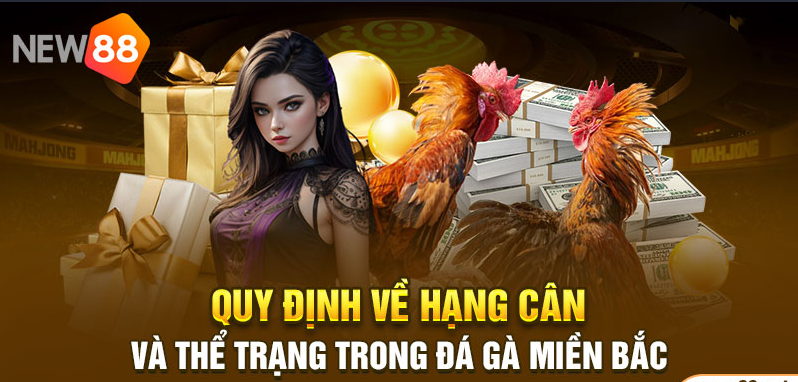 New88 official cockfighting platform: guide for new users to quickly watch matches without lag. 2 Find a match quickly