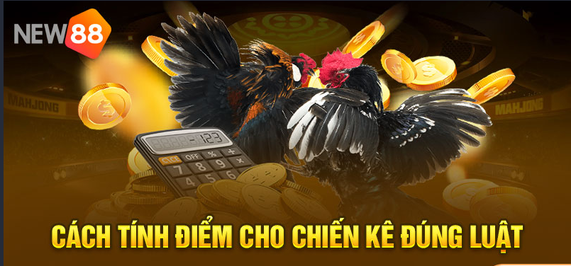 New88 official cockfighting platform: guide for new users to quickly watch matches without lag. 3 No freezing