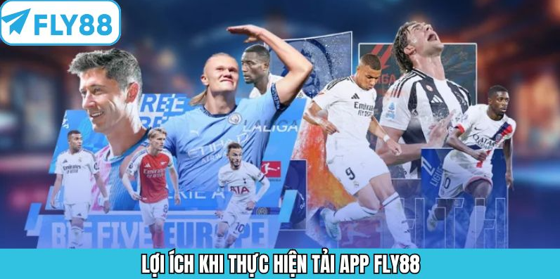 Detailed Guide to Downloading the Fly88 App for a Smoother Experience 3 11