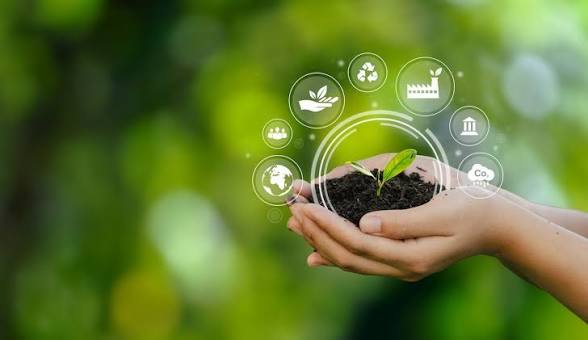 Business Strategies Behind Sustainable Brand Expansion